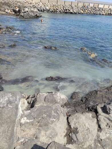 Imagen del vertido / TA